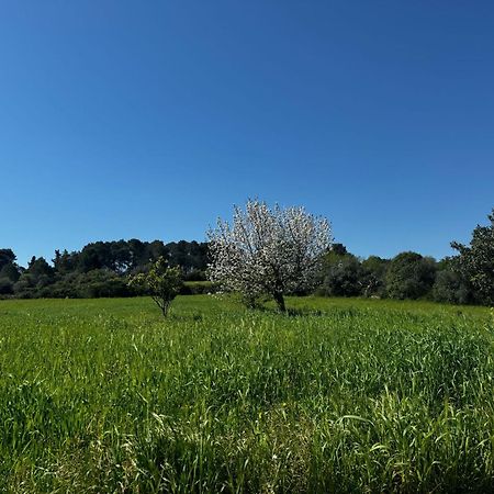 Trulli Del Sole Villa Martina Franca Eksteriør billede