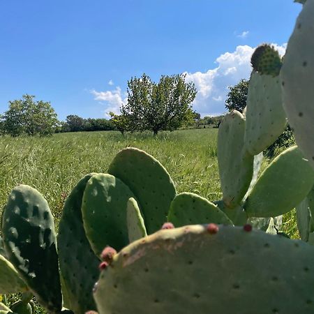 Trulli Del Sole Villa Martina Franca Eksteriør billede