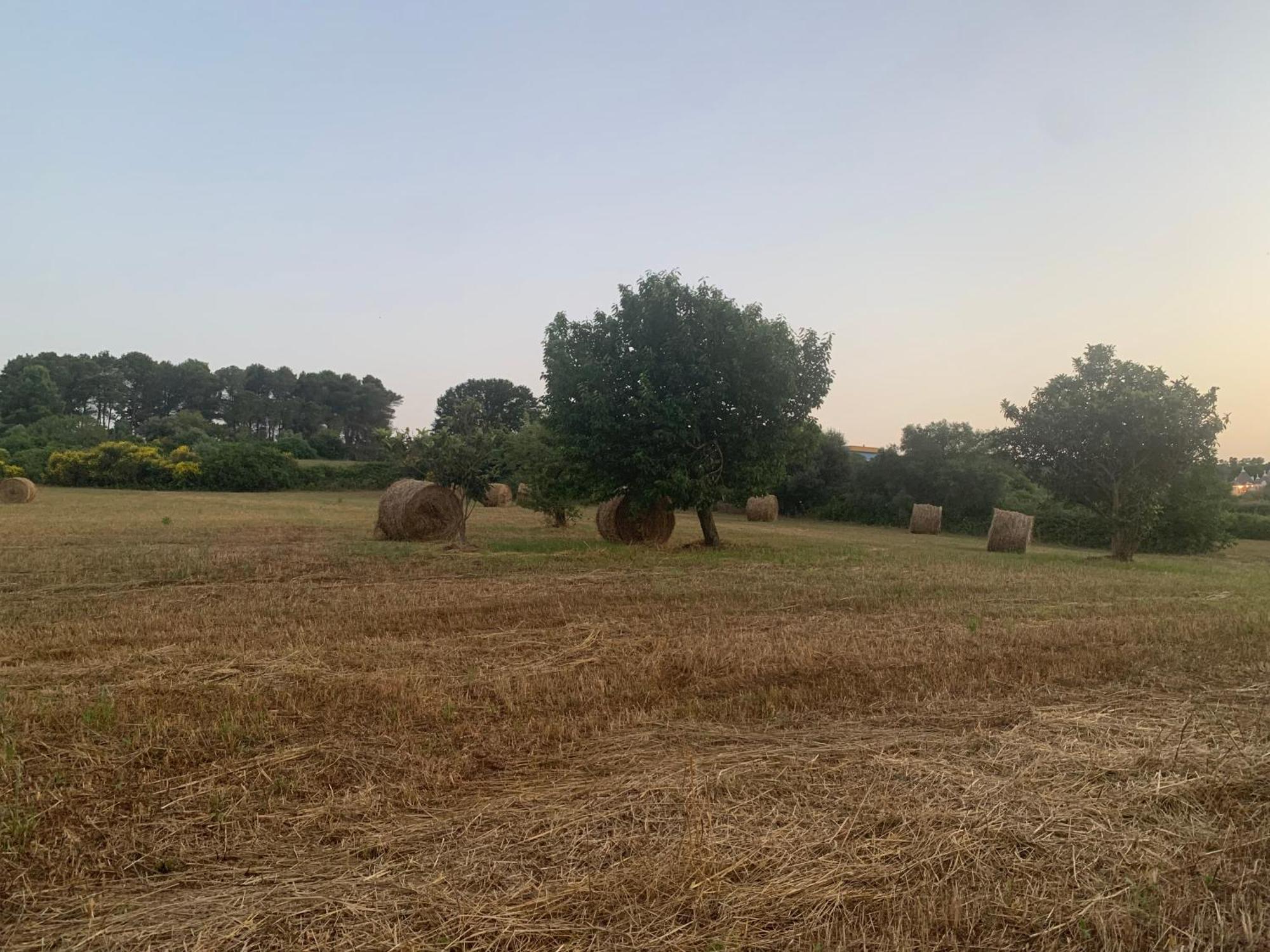 Trulli Del Sole Villa Martina Franca Eksteriør billede