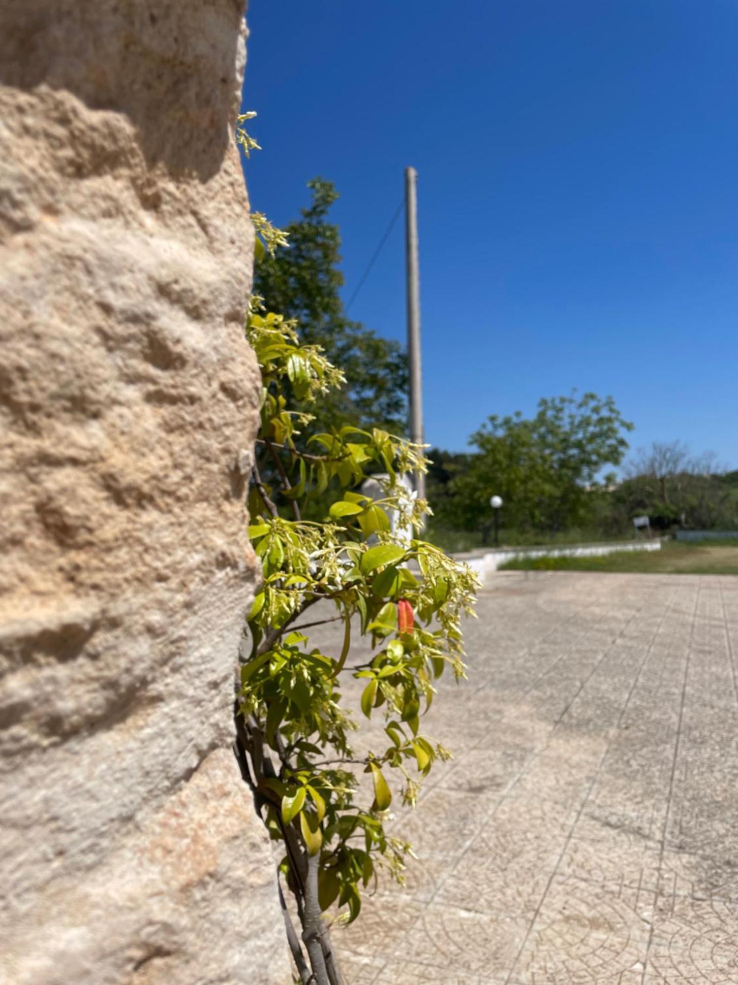 Trulli Del Sole Villa Martina Franca Eksteriør billede