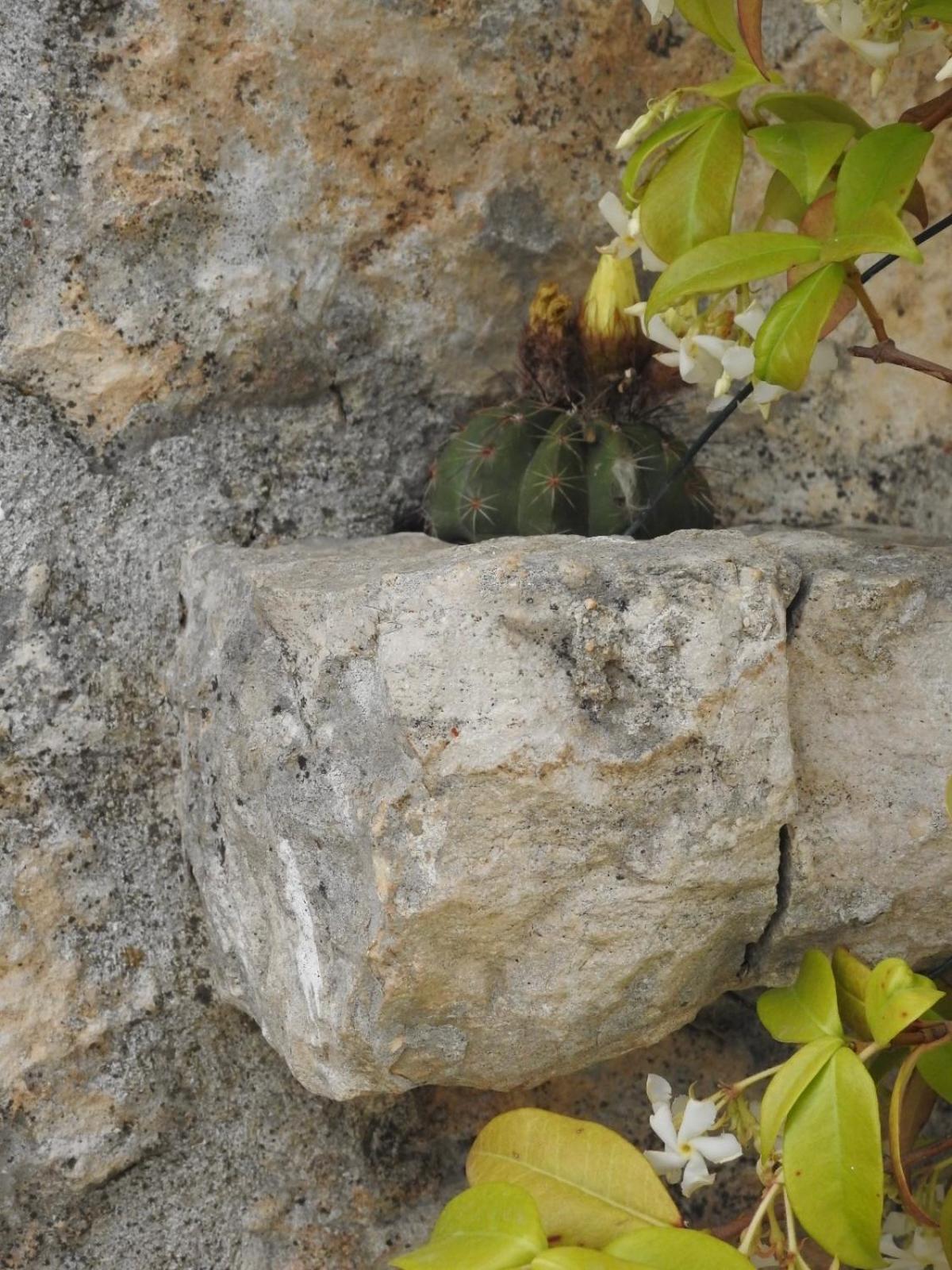 Trulli Del Sole Villa Martina Franca Eksteriør billede